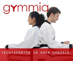 Vechtsporten in Hoya-Gonzalo