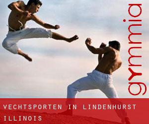 Vechtsporten in Lindenhurst (Illinois)