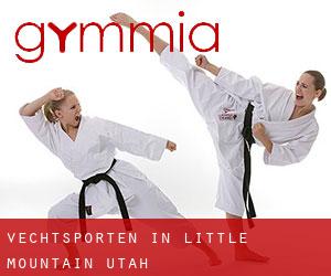 Vechtsporten in Little Mountain (Utah)