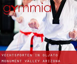 Vechtsporten in Oljato-Monument Valley (Arizona)