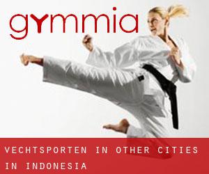 Vechtsporten in Other Cities in Indonesia