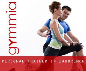 Personal Trainer in Baudrémont