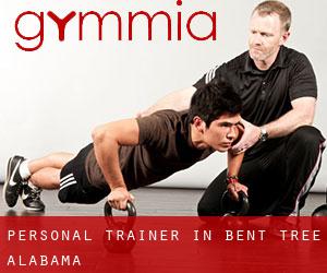 Personal Trainer in Bent Tree (Alabama)