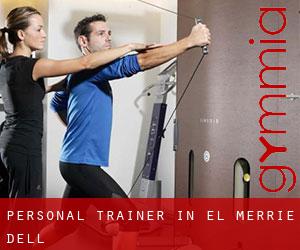 Personal Trainer in El Merrie Dell