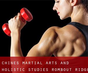 Chines Martial Arts And Holistic Studies (Rombout Ridge)