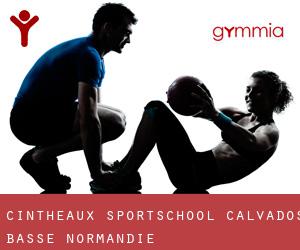 Cintheaux sportschool (Calvados, Basse-Normandie)