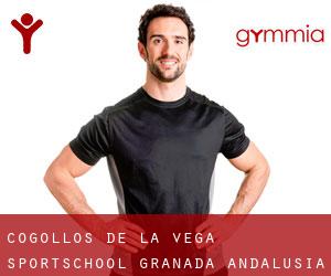 Cogollos de la Vega sportschool (Granada, Andalusia)