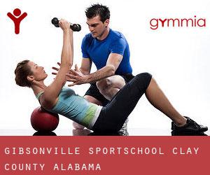 Gibsonville sportschool (Clay County, Alabama)