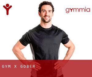 Gym X (Gober)