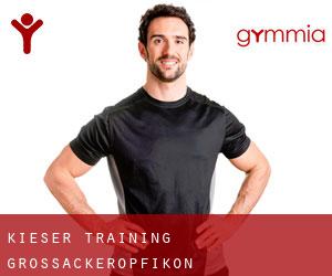 Kieser Training (Grossacker/Opfikon)