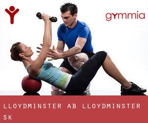 Lloydminster, AB / Lloydminster, SK