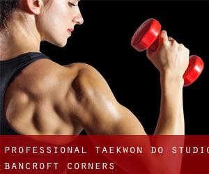 Professional Taekwon DO Studio (Bancroft Corners)