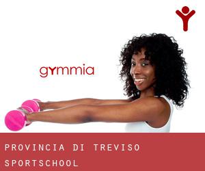 Provincia di Treviso sportschool